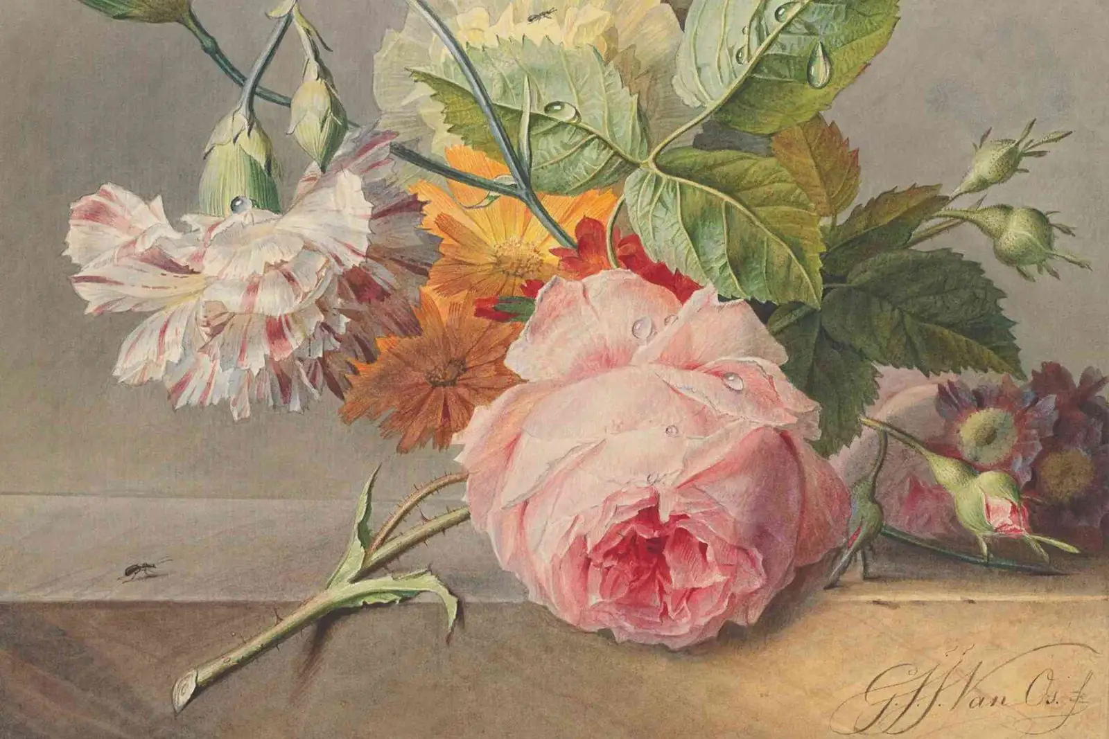 Protégé : MANOSQUE MAMAN