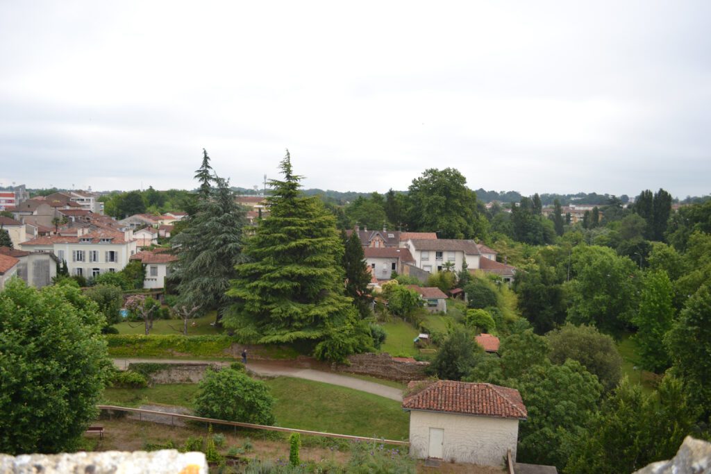 dsc 558921 dsc 558921