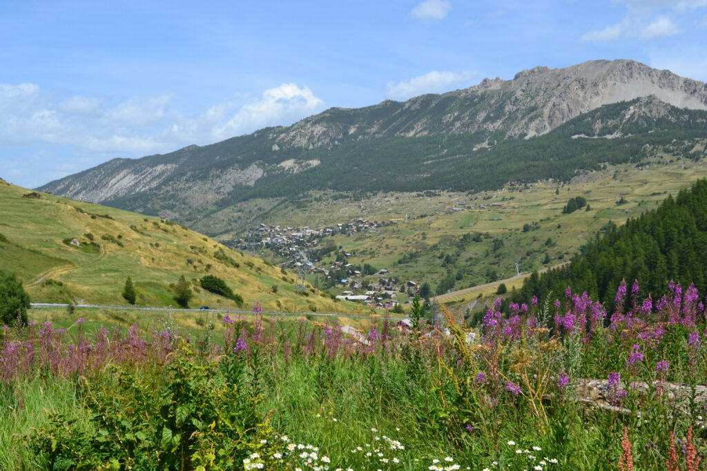 dsc 5623 dsc 5623