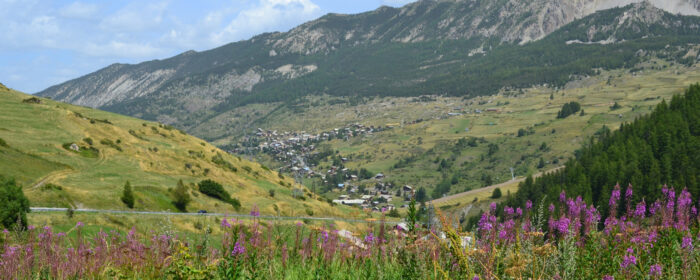 dsc 5623 dsc 5623
