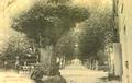 avenue du pont gallerythumbnail